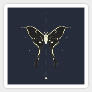 Night Moth Magnet